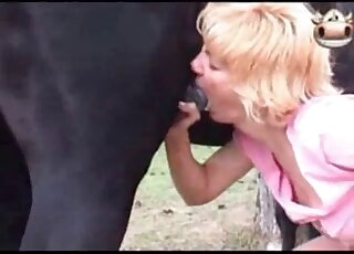 Compilation of the hottest blowjobs performed during zoo porn scenes