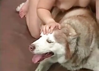 Husky dog doesn't mind fucking with a sexy brunette zoophile bitch at all