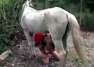 Brunette zoophile chick passionately swallows massive cock of a horse