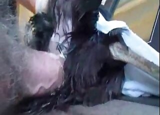 Perverted stud fucks dog's pussy in a kinky bestiality session