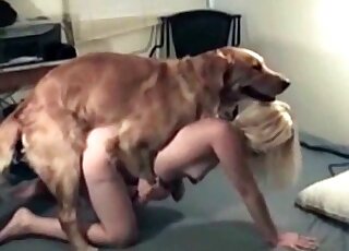 Fluffy dog performs a non-stop pussy-ramming of a hot blond chick