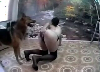 Aroused brunette seduces her dog to fuck her from behind at home