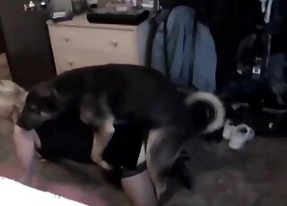 Hot cougar dressed in black opens her legs for a tiny yet kinky dog