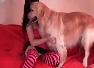 Brunette in a white mask lets this dog eat her out on a couch