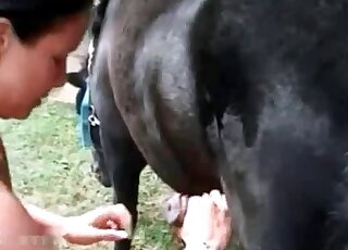 Brunette whore is playing with a horse's dick while moaning