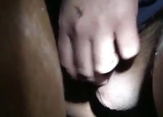 Horny dude is having fun with a horse enjoying hot animal sex