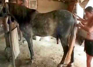 Beastiality sex craving slut gets naked to play with cock of her horse