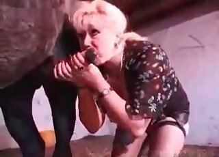 Mature slut jerks off stallion’s dick to make him cum on her boobs