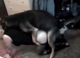 Dog fucks a crazy female slut deep and fast in animal porn scene