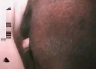 Kerel steekt pik in de kont van zijn pony en geniet van een triootje in zoöfilie