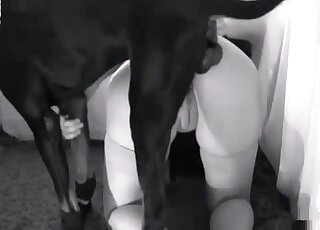 Animal sex obsessed hottie wanks to her dog in a homemade zoo video