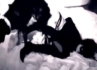 Hot zoo sex of a hot brunette and her pussy craving pet dog