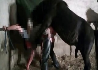 Pony fucks a dirty-minded pervert in the barn in a retro zoo porn video