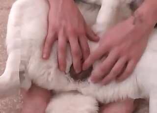 Submissive dog experiences the craziest fucking with a male zoophile