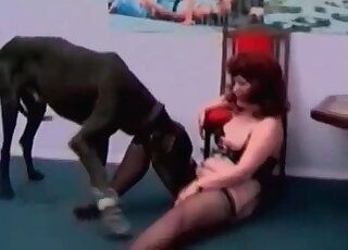 Massive black dog explores and licks stretched cunt of a hot mature