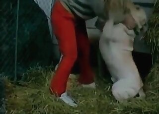 Huge heavy dog gives a tough fuck to a zoophile female outdoors