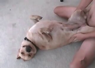 Zoophile guy stuffs dog’s ass with his hard dong in a zoo porn scene