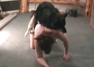 Nerdy mature trains her dog to bang her needy cunt when she needs that