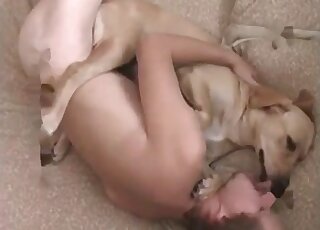 Horny zoophile dude fucks his nice submissive dog in the bedroom