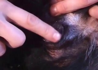 Nasty zoophile dude loves the presence of his dong in his dog’s hole