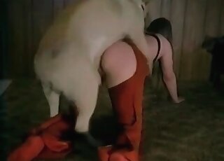 Canine gives a terrific fuck to a cock craving housewife indoors