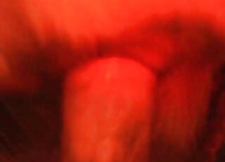 ایک گندی zoophile fucking ایک جانور کے گہرے سوراخ کی کلوز اپ فوٹیج