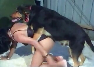 MILF stands on all fours in order to get fucked by her dog from behind