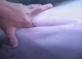 Man explores a deep hole of a big fish in the sea in a weird scene