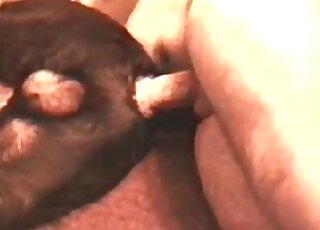 Perverted guy fucks juicy hole of his submissive dog incredibly deep