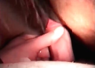 Closeup zoo porno scene of a weird guy screwing a horse insanely