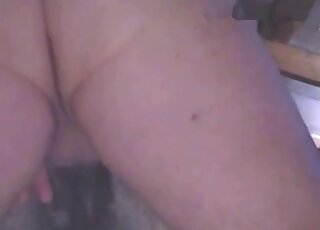 Dude with a terrific ass fucks a mare from behind and it's great