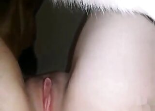 Shaved zoophile pussy invaded by a dog's red cock in a free sex tape