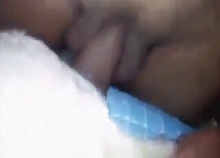 Una polla humana caliente expandiendo esa caja de perro en bestialidad masculina XXX