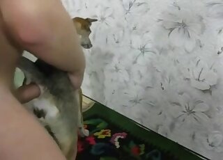 Immoral guy fucks a dog's assshole in the best anal zoo movie
