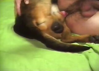 Zoophilic guy with sexy pubes enjoys sideways fucking with a dog