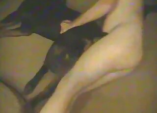 Black dog with a narrow pussyhole gets fucked by a hung zoophile