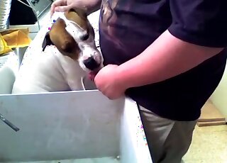 Chubby guy whips out his cock to screw a dog's mouth at his place