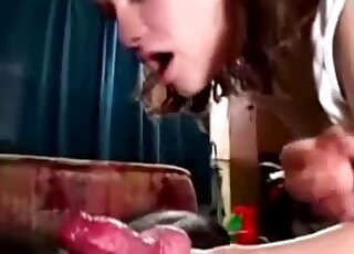 Sloppy brunette sucker taking care of a dog's red cock by sucking