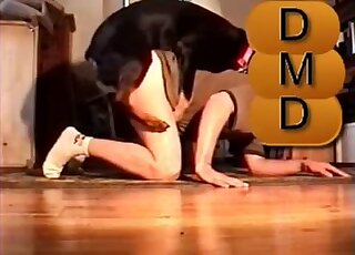 Attractive zoophile in sexy socks fucked by a black dog on the floor